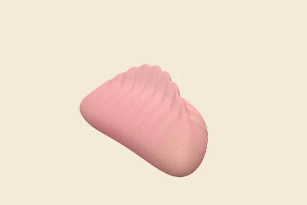 Beet Potsticker, a Rare squishy
