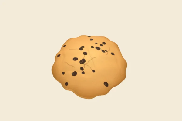 Chocolate Chip Cookie, a Common squishy