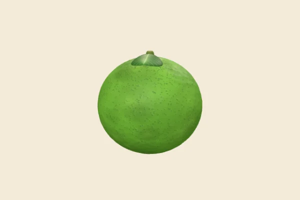 Lime, a Common Zesty Green squishy snack from Squishy Butter