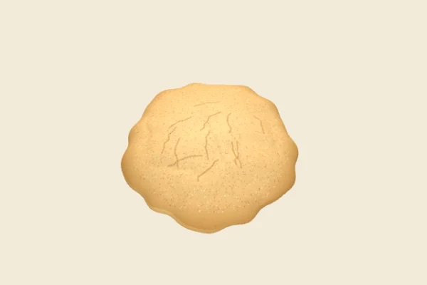 Snickerdoodle, a Common squishy