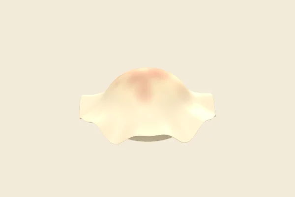 Wonton, a Common squishy